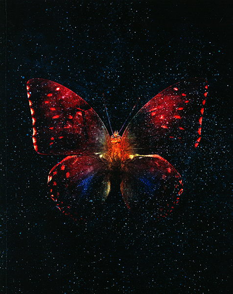 Klade # 20*25, 80 lpp, cietos vākos | Butterfly