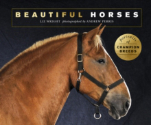 Beautiful Horses : Portraits of champion breeds