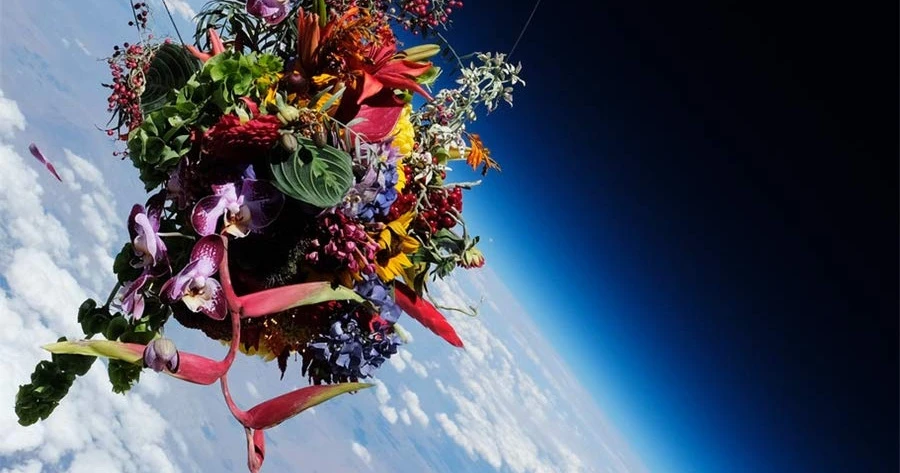 入手困難 Flower Art MAKOTO AZUMA アートブック 英語版 9780500210291_flower-art-