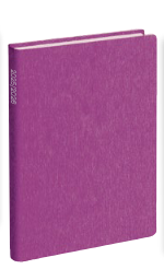 Skolotāja plānotājs 2025/2026 Pieturpunkts ( Violets)