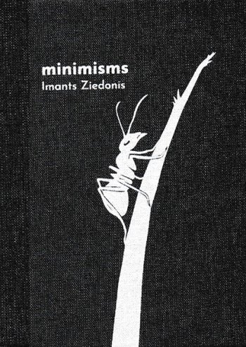 Minimisms