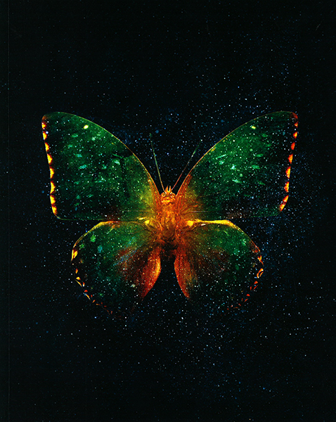 Klade # 20*25, 80 lpp, cietos vākos | Butterfly