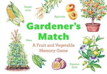 Gardener’s Match : A Fruit and Vegetable Memory Game