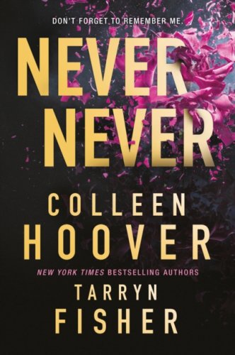 Never Never: TikTok made me buy it! The Sunday Times bestselling romantic thriller from BookTok