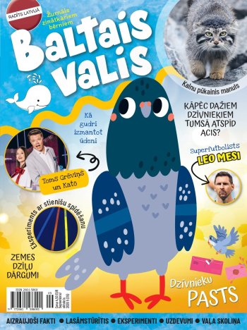 Baltais valis Septembris Oktobris (5) 2026