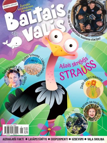 Baltais valis Maijs / Jūnijs 2025