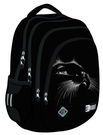 Mugursoma - CAT, BLACK, 43 x 31 x 22 cm
