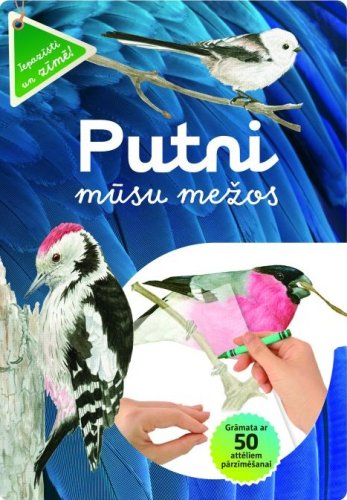 Putni mūsu mežos. Iepazīsti un zīmē!