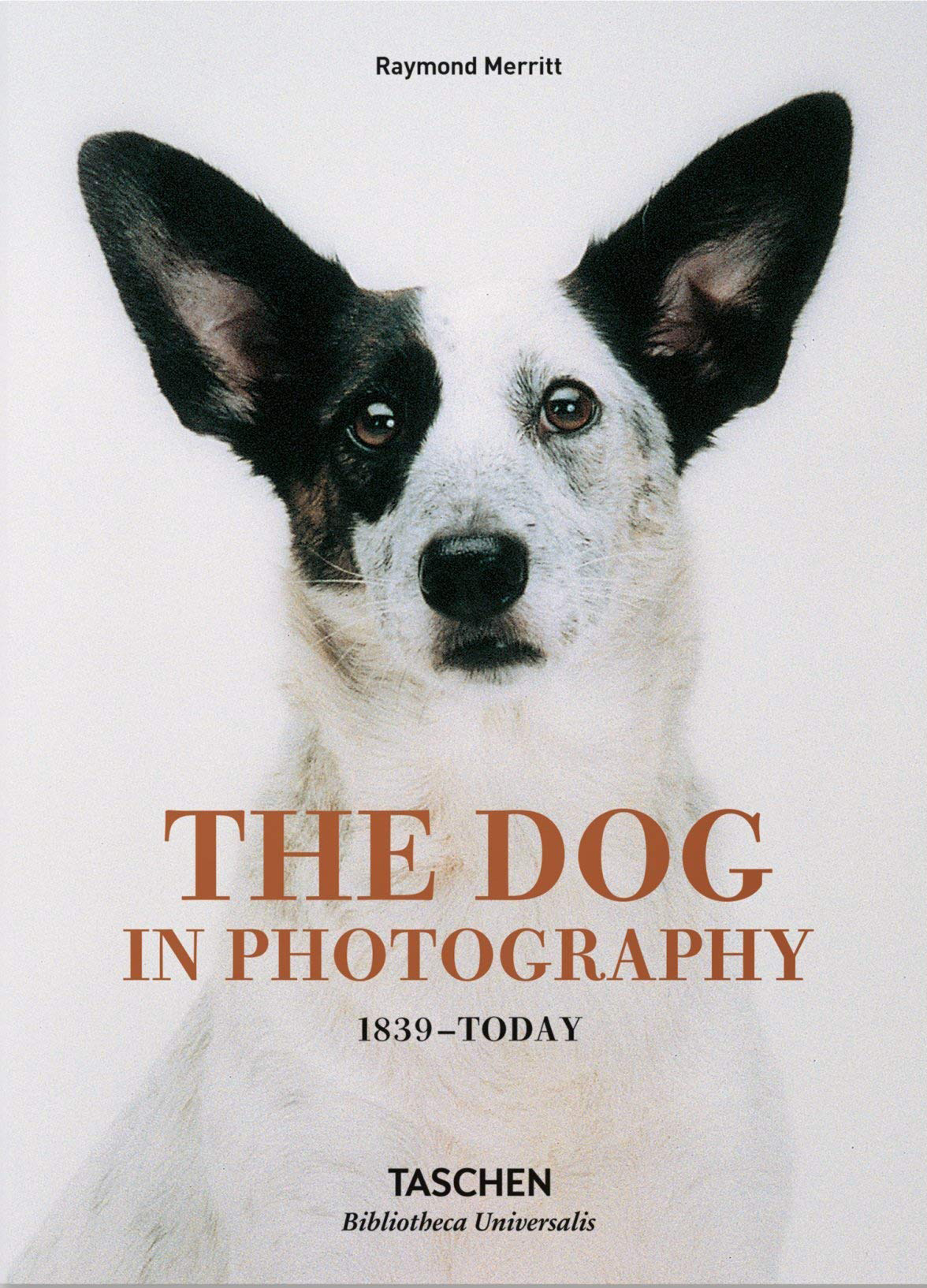 Dog in Photography 1839-Today, The