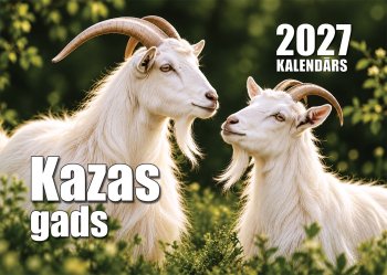 Kalendārs 2027 Kazas gads A4