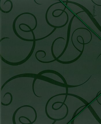 Mape ar gumijām A4 zaļa GNP