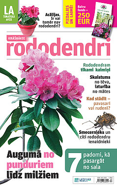 Rododendri LA tematiskā vīze
