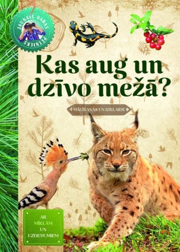 Kas aug un dzīvo mežā? Jaunais dabas pētnieks