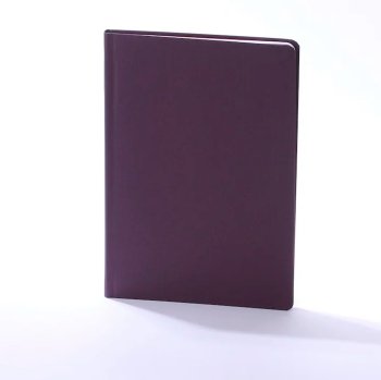 Skolotāja plānotājs 2026/2027 Pieturpunkts ( bordo)