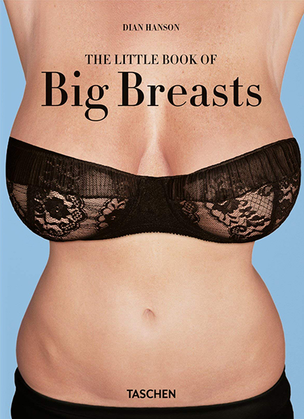 Little Book of Big Breasts