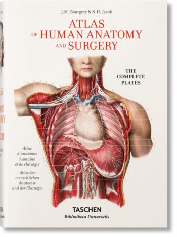 Atlas of Human Anatomy and Surgery. Bourgery, BU