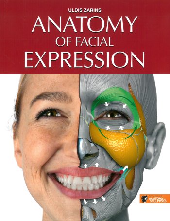 Anatomy of Facial Expression