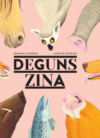 Deguns zina