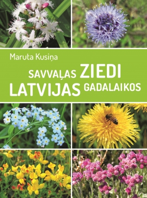 Savvaļas ziedi Latvijas gadalaikos