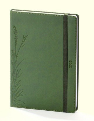 Dienasgrāmata MANAGER zaļš