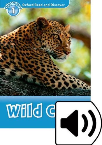 ORD 1 WILD CATS MP3 PK