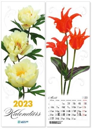 Kalendārs 2023. Garie ziedi