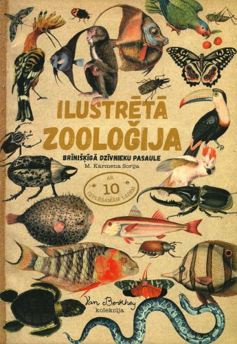 Ilustrētā zooloģija. Brīnišķīgā dzīvnieku pasaule