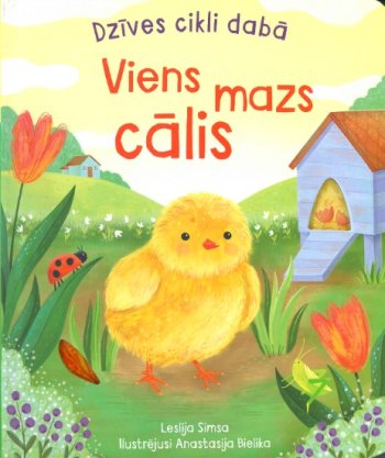 Viens mazs cālis. Dzīves cikli dabā