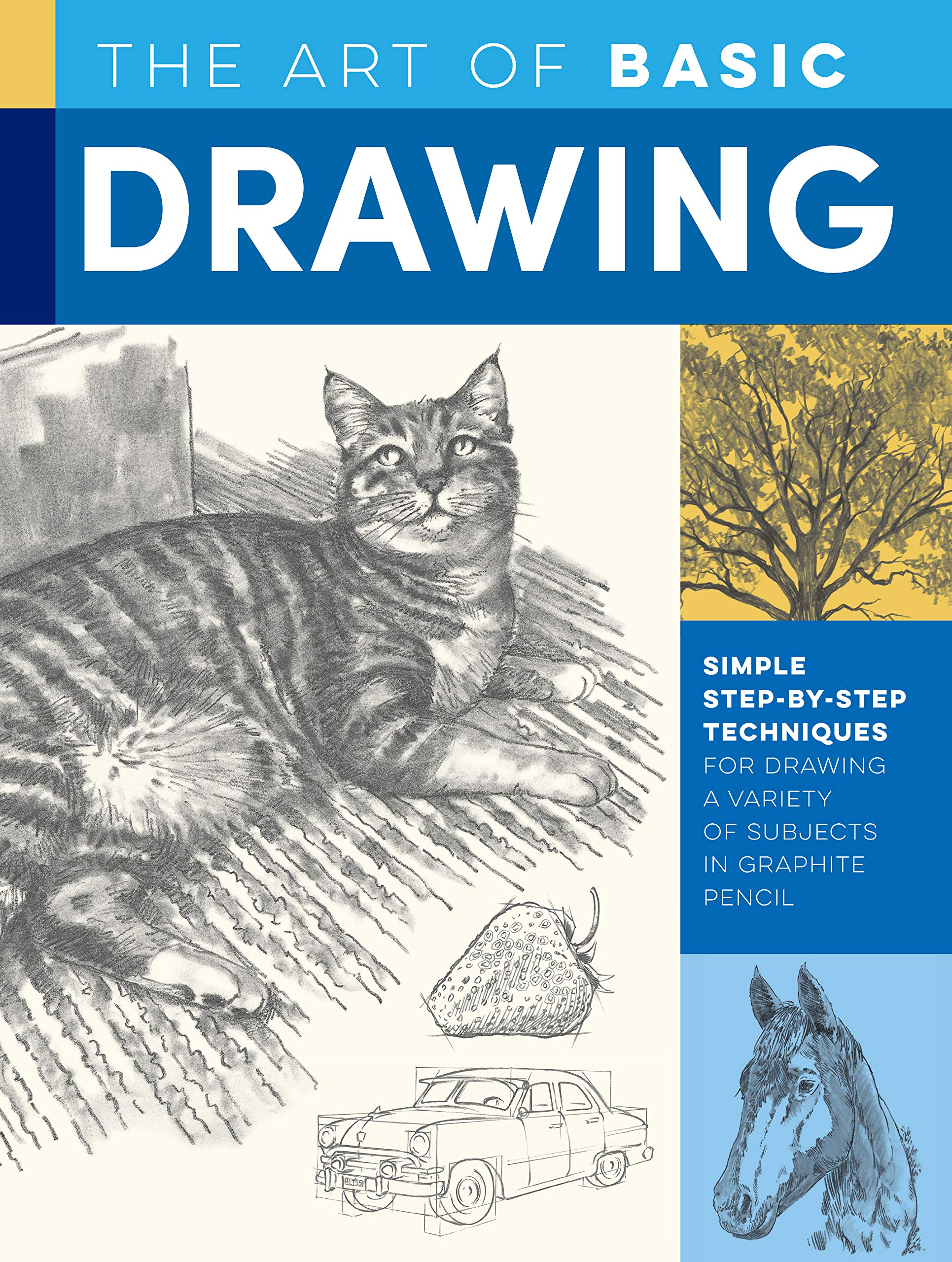 Art of Basic Drawing : Simple step-by-step techniques for drawing a variety of subjects, The
