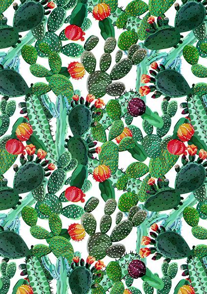 Klade # 17*24, 72 lpp, plastikāta vākos, skavota | Cactus