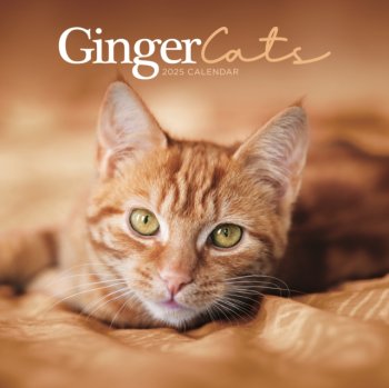 Ginger Cats Square Wall Calendar 2025