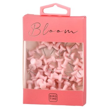 Piespraudes Beryl 50 gab., Bloom