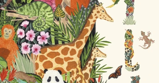 Wild : A Child's Guide to the Animal Kingdom
