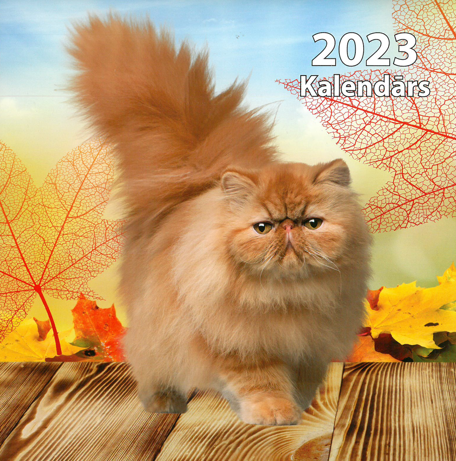 Kalendārs 2023. Ruds kaķis