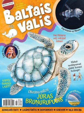 Baltais valis 4 2026 ( jūnijs jūlijs)
