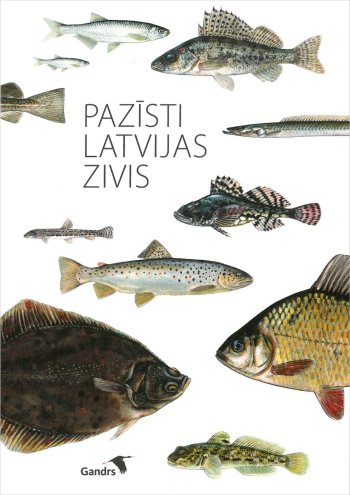 Pazīsti Latvijas zivis ( CV)