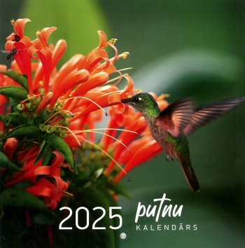 Kalendārs 2025. Putnu kalendārs