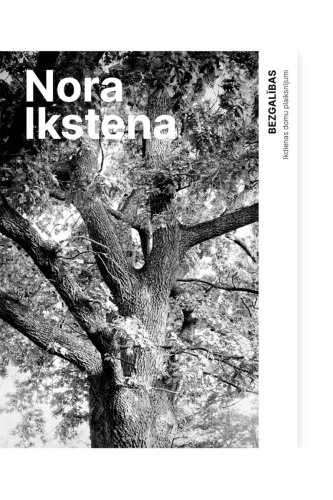 Bezgalības. Ikdienas domu plaiksnījumi
