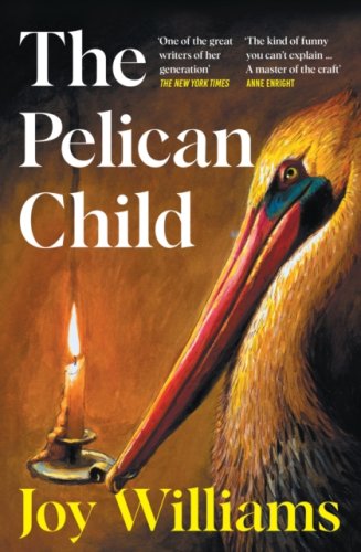 The Pelican Child : Longlisted for the 2025 National Book Award