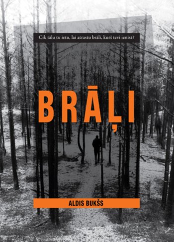 Brāļi, romāns