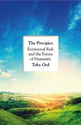 The Precipice : 'A book that seems made for the present moment' New Yorker