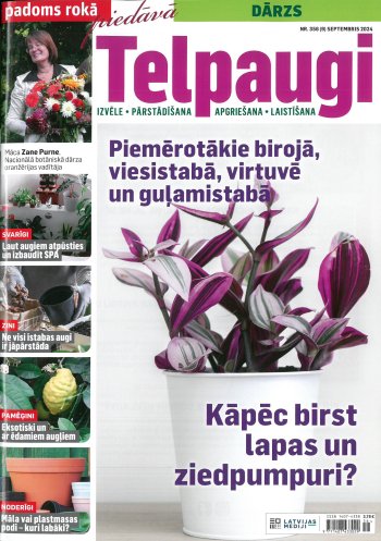 Telpaugi. Padoms rokā