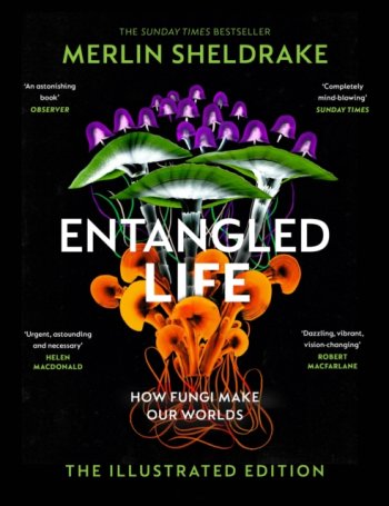 Entangled Life (The Illustrated Edition) : A beautiful new gift edition featuring 100 illustrations